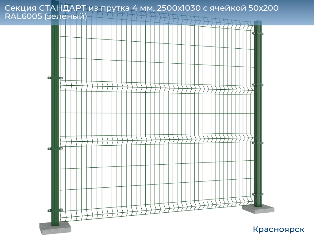 Секция СТАНДАРТ из прутка 4 мм, 2500x1030 с ячейкой 50х200 RAL6005 (зеленый), www.krasnoyarsk.doorhan.ru