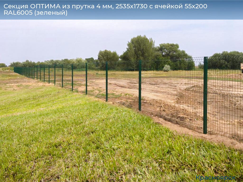 Секция ОПТИМА из прутка 4 мм, 2535x1730 с ячейкой 55х200 RAL6005 (зеленый), www.krasnoyarsk.doorhan.ru