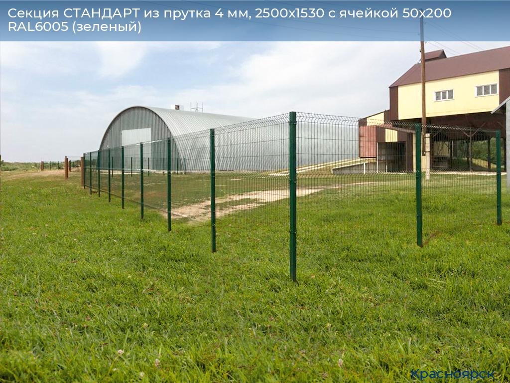 Секция СТАНДАРТ из прутка 4 мм, 2500x1530 с ячейкой 50х200 RAL6005 (зеленый), www.krasnoyarsk.doorhan.ru
