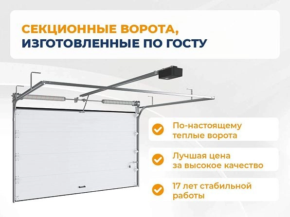 Cекционные ворота 4000х2750 мм антрацитовые DoorHan RSD02, www.krasnoyarsk.doorhan.ru
